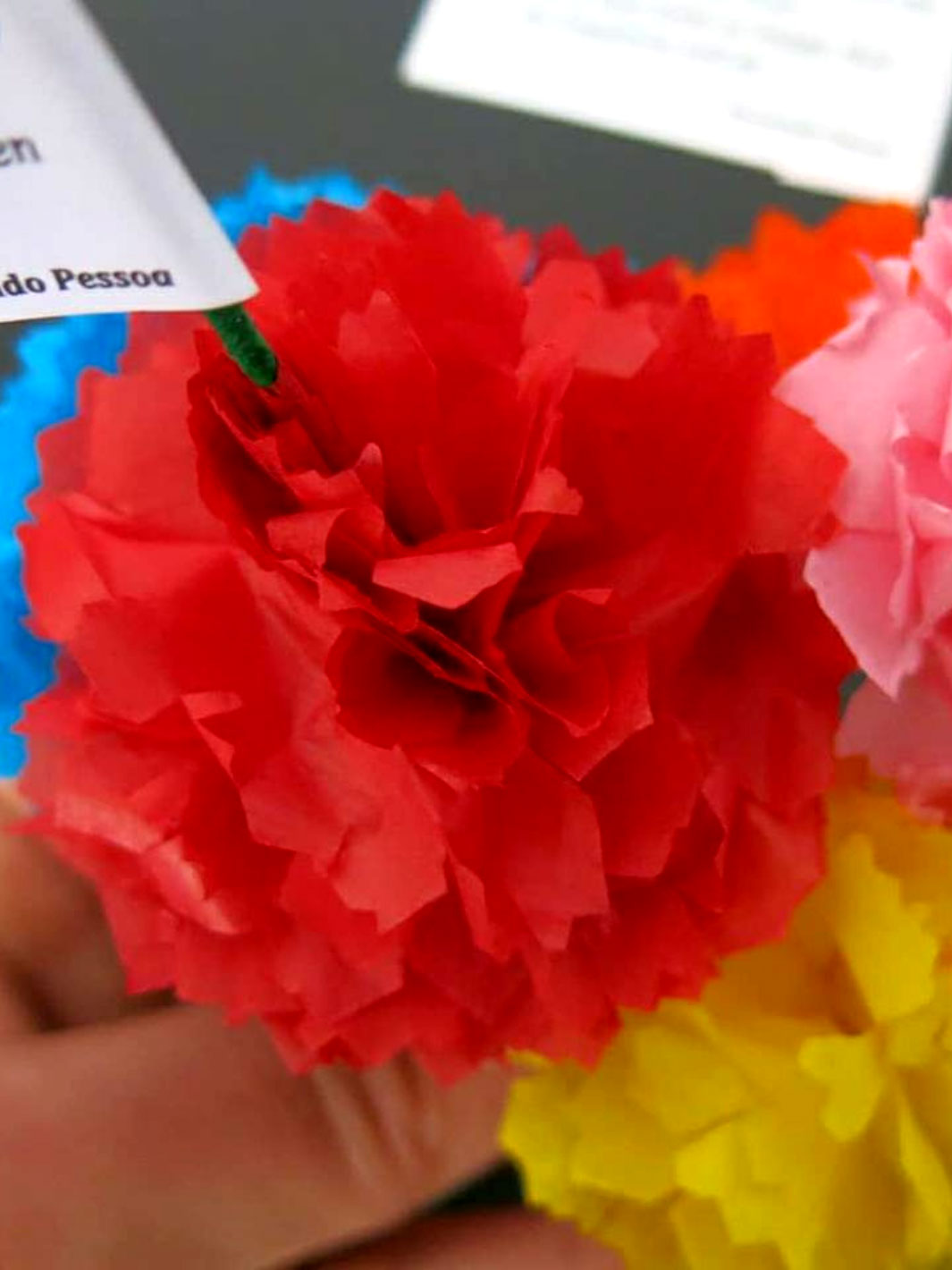 Handcrafted Decorative Portuguese Ceramic Vase  - A Medusa e o Manjerico