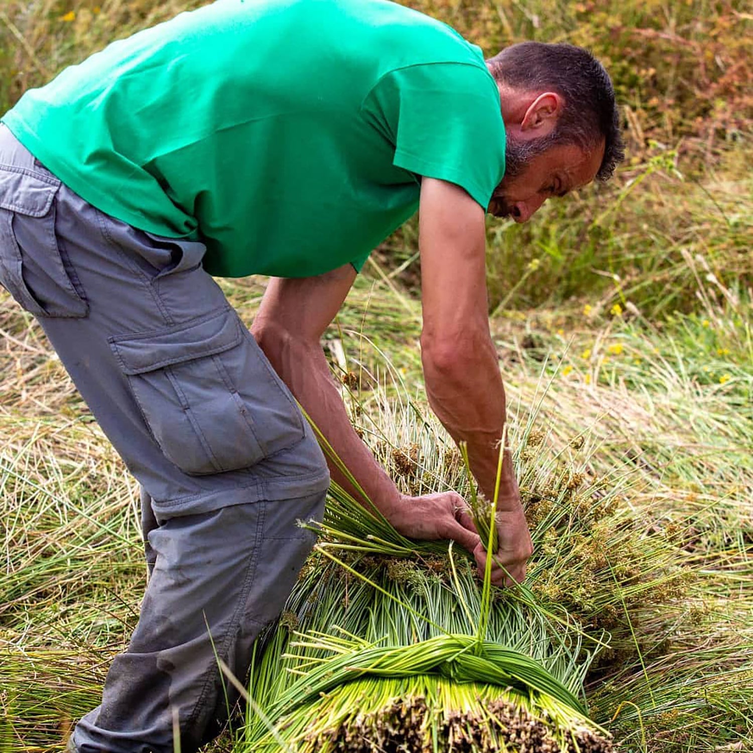 Reeds are harvested in the plains of Coruche by the same hands that bring this beautiful purses to life, and have been the basis of a family tradition for 4 generations.