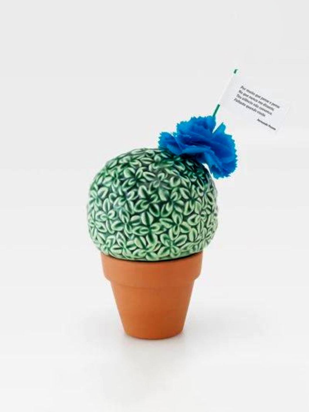 Handcrafted Decorative Portuguese Ceramic Vase  - A Medusa e o Manjerico