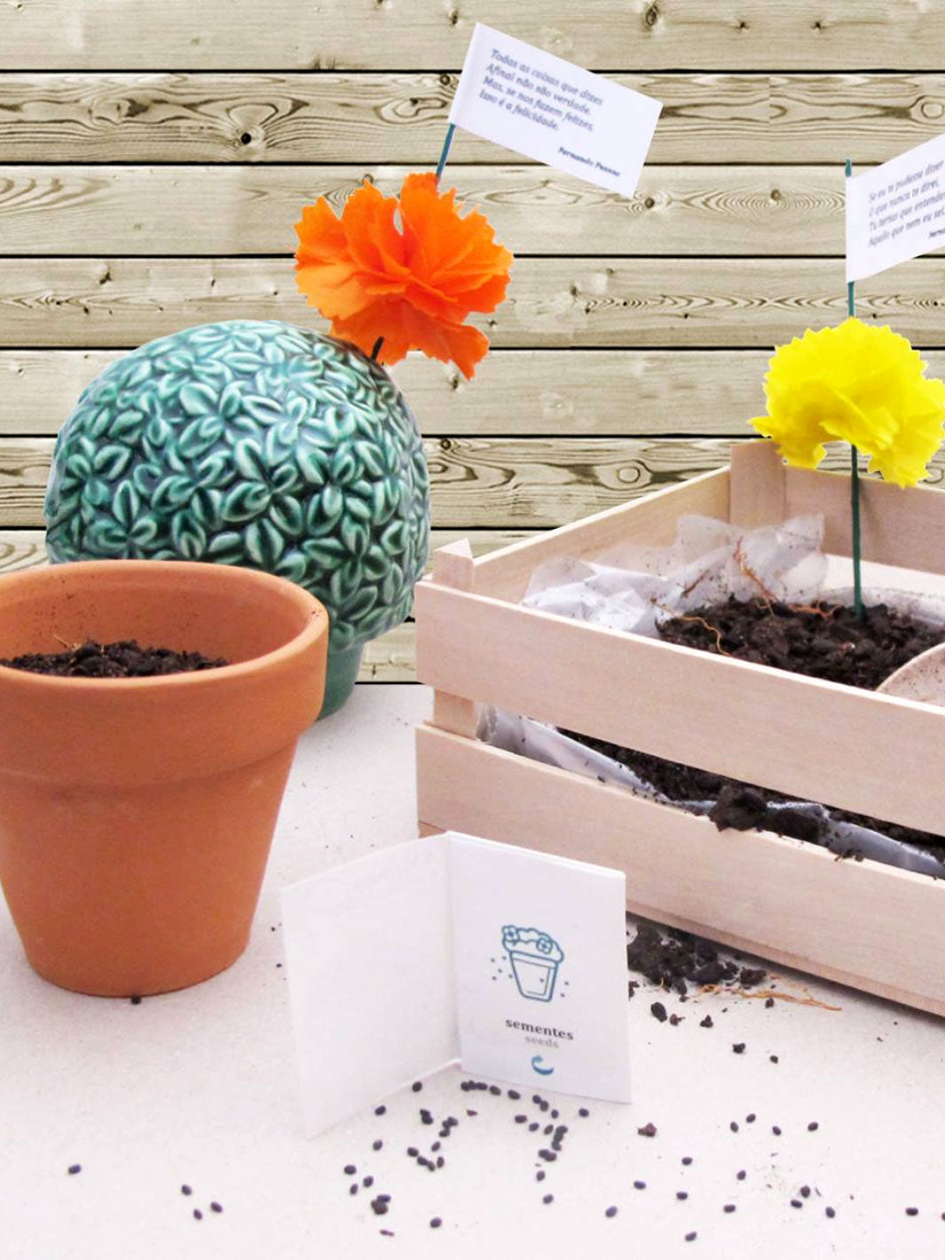 Handcrafted Decorative Portuguese Ceramic Vase  - A Medusa e o Manjerico