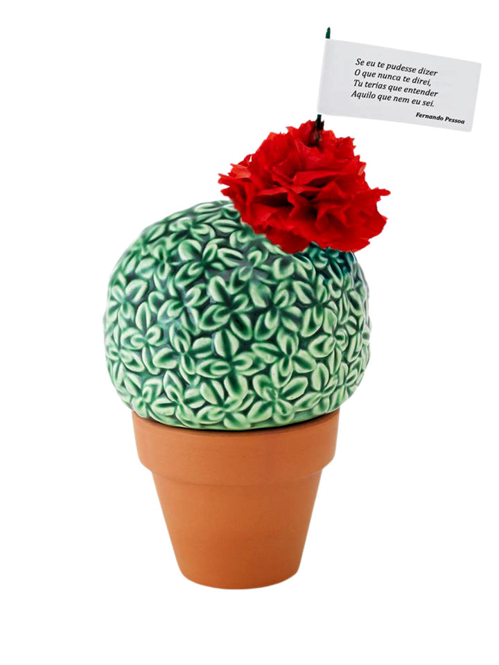 Handcrafted Decorative Portuguese Ceramic Vase  - A Medusa e o Manjerico